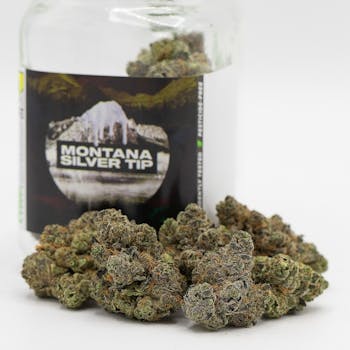 Gluttony - Platinum Line 3.5g